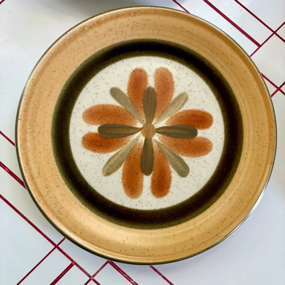 Vintage Premiere DuraStone Touche P9202 Set 2 Dinner 2 Salad Plates, Japan